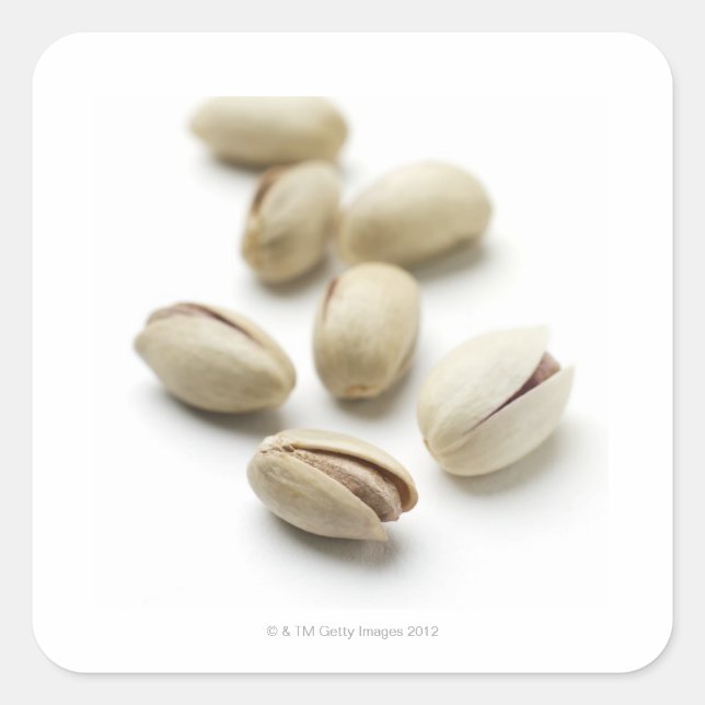 Adesivo Quadrado Loucos de pistachio. (Frente)