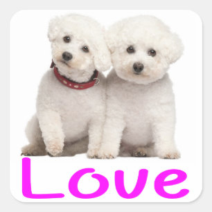 Adesivo Quadrado Love White Bichon Frise Puppy Dog Stickers
