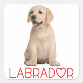 Adesivo Quadrado Love Yellow Labrador Retriever Puppy Dog Stickers