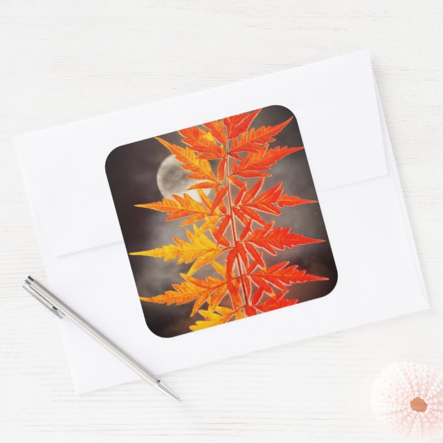 Adesivo Quadrado Lua e Folhas (Envelope)