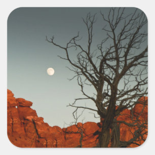 Adesivo Quadrado Lua má