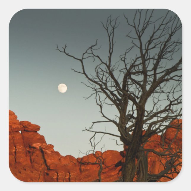 Adesivo Quadrado Lua Wicked (Frente)