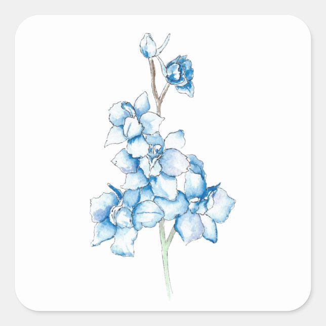 Adesivo Quadrado Luvas-de-rainha (Frente)