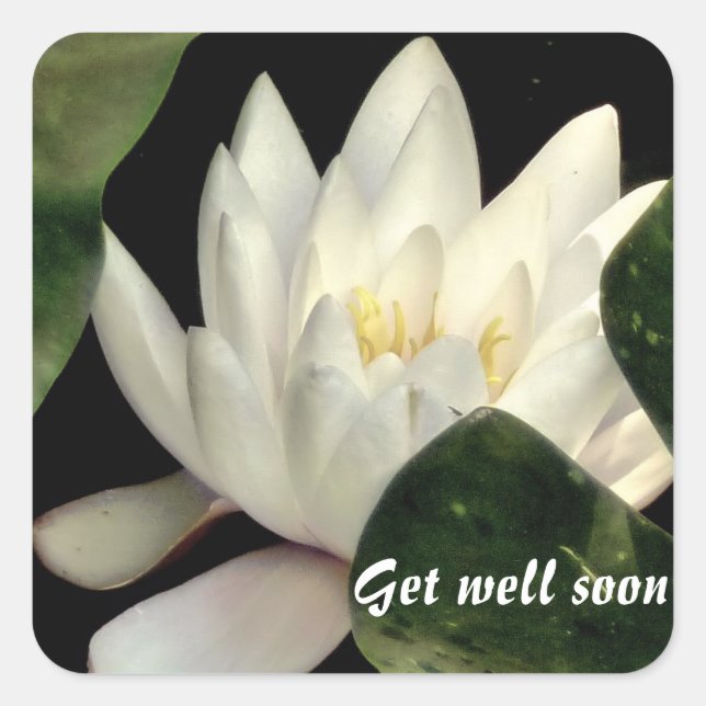 Adesivo Quadrado Luz no interior (Frente)