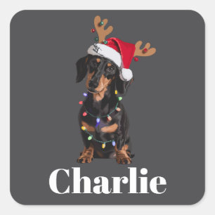 Adesivo Quadrado Luzes de Natal para Cachorro Dachshund com Nome Pe