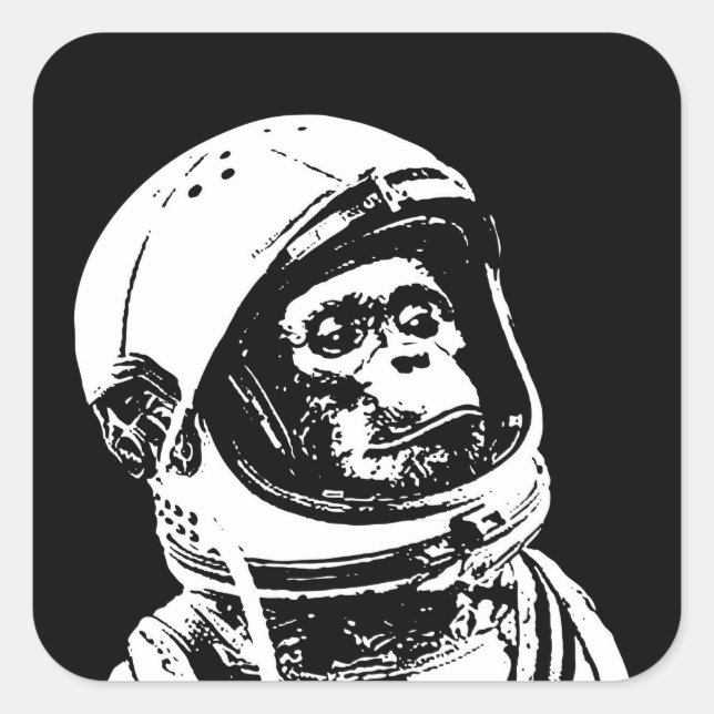 Adesivo Quadrado Macaco Astronauta (Frente)