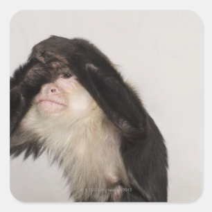 Adesivo Quadrado Macaco que cobre seus olhos
