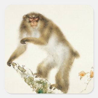 Adesivo Quadrado Macaco Velho com Cereja no outono