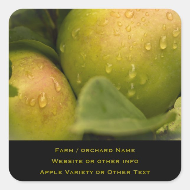 Adesivo Quadrado Maçãs Verdes Frescas com Má Fronteira (Frente)