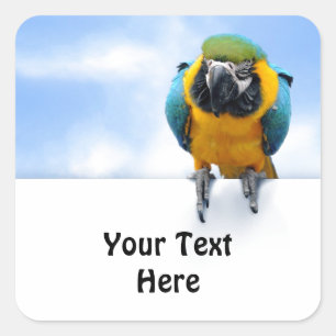 Adesivo Quadrado Macaw customizável