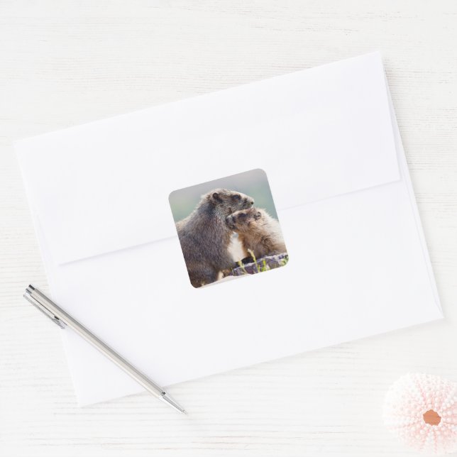 Adesivo Quadrado Mãe de Marmota com Bebê (Envelope)