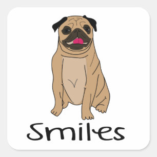Adesivo Quadrado Mãe Pug Engraçado Cachorro Filhote Amor Olá