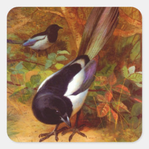 Adesivo Quadrado Magpies