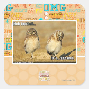 Adesivo Quadrado Mah Brothah