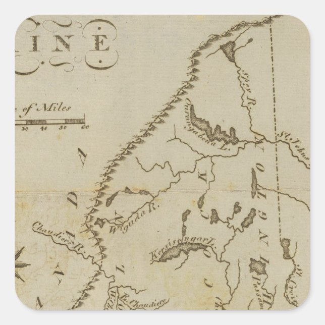 Adesivo Quadrado Maine 9 (Frente)