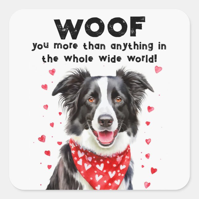 Adesivo Quadrado Mais do que Border Collie Heart Bandana (Frente)