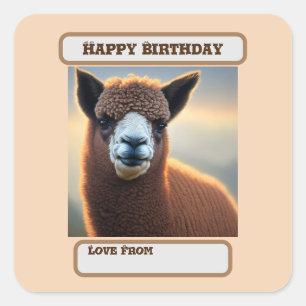 Adesivo Quadrado "Majestade Fluffy: O Grande Marrom Marrom Alpaca"