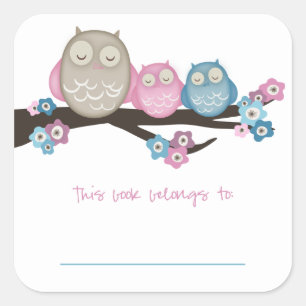 Adesivo Quadrado Mama Coruja & Bookplates dos gêmeos {rosa & azul}