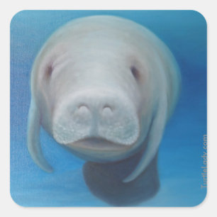 Adesivo Quadrado Manatee Stickers
