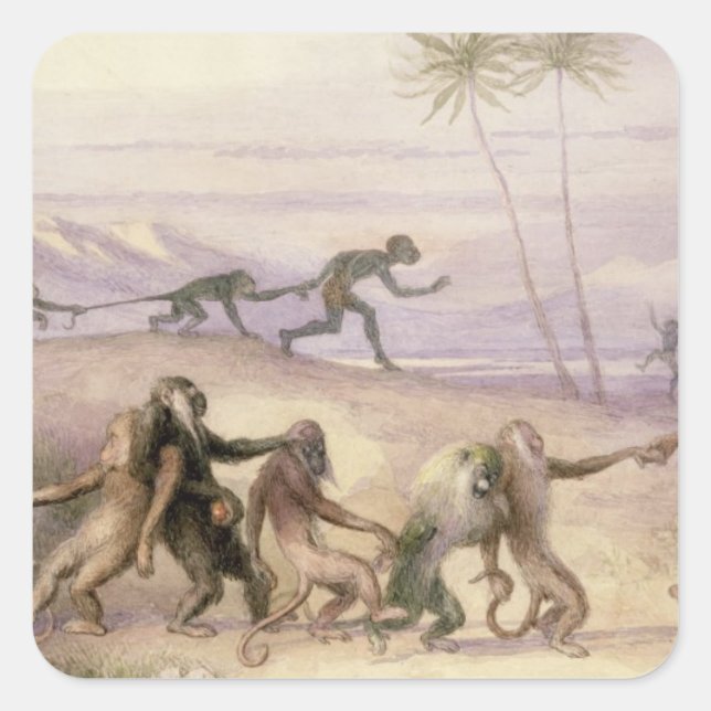 Adesivo Quadrado Maneiras e Alfândegas dos Macacos (Frente)