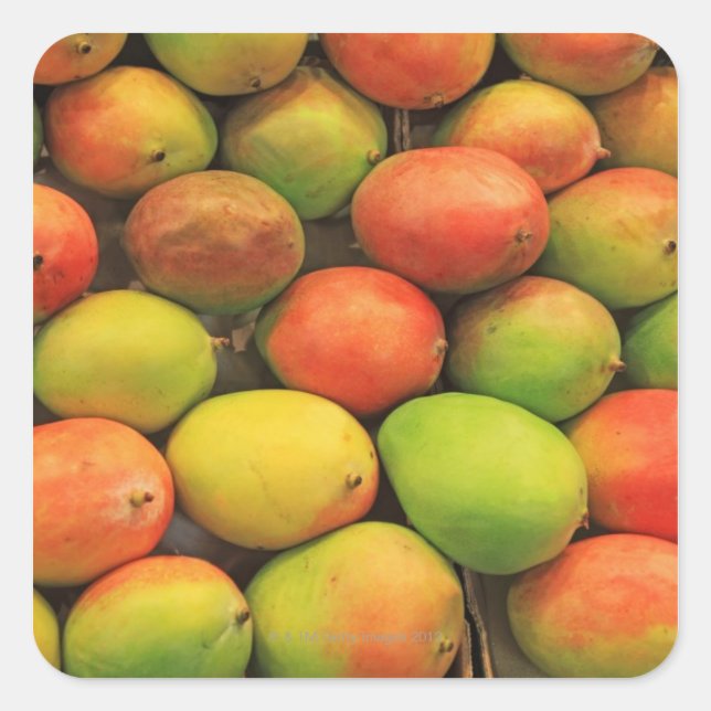 Adesivo Quadrado Mangos, Espanha, Catalunha, Barcelona, La Bocaria (Frente)