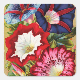 Adesivo Quadrado Manhã - Glórias