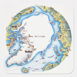 Adesivo Quadrado Mapa do ártico