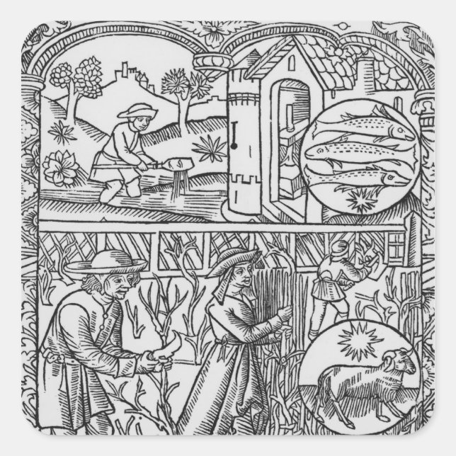 Adesivo Quadrado Marcha, pesca e poda de árvores, Peixes (Frente)