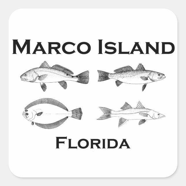 Adesivo Quadrado Marco Island Saltwater Fish (Frente)