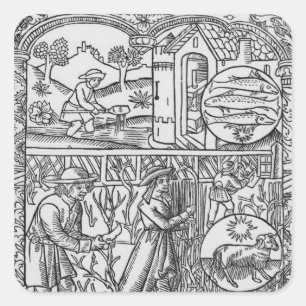 Adesivo Quadrado Março, pesca e árvores de poda, peixes