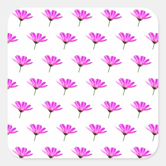 Adesivo Quadrado Margarida Rosa (Frente)