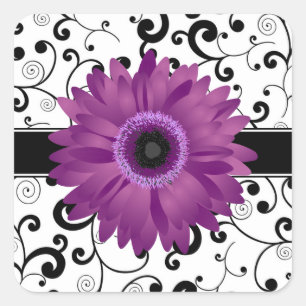 Adesivo Quadrado Margarida roxa do Gerbera com selo preto do design