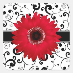Adesivo Quadrado Margarida vermelha do Gerbera com selo preto do