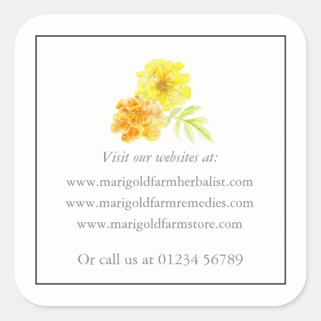 Adesivo Quadrado Marigold modelo website Sticker (Frente)