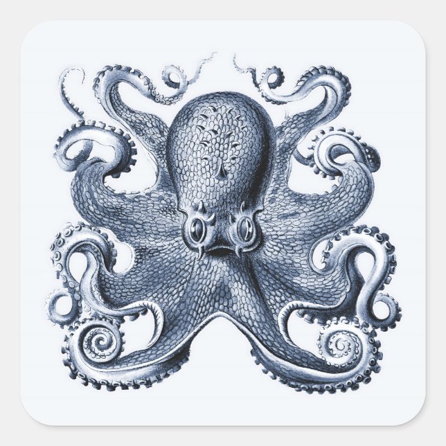 Adesivo Quadrado Marinho Blue Octopus ilustrado por Ernst Haeckel (Frente)
