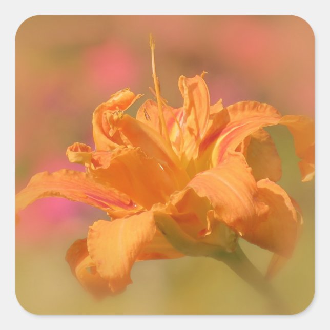 Adesivo Quadrado Marmalade - Daylily (Frente)