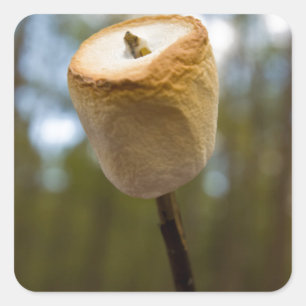 Adesivo Quadrado Marshmallows Roasting