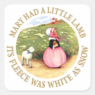 Adesivo Quadrado Mary teve um cordeiro pequeno
