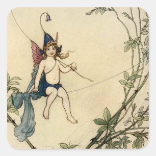 Adesivo Quadrado Mas Puck estava sentado no fio de uma aranha