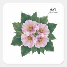 May Birthday Hawthorn Bloom: Floral Personalizado