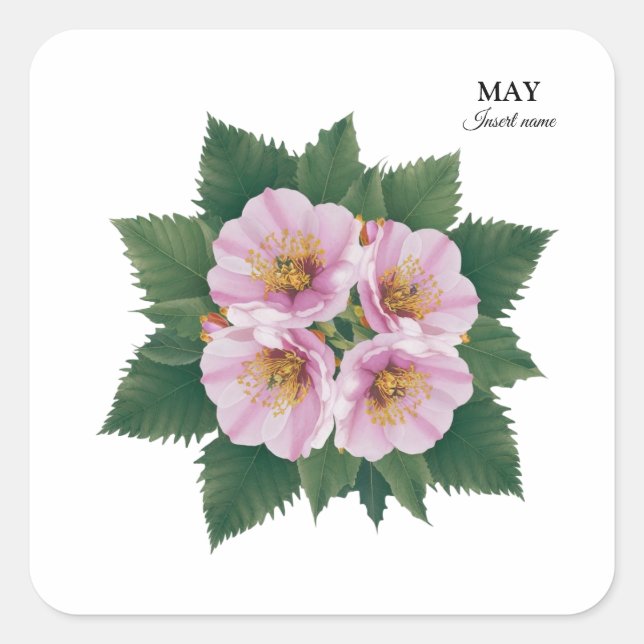 Adesivo Quadrado May Birthday Hawthorn Bloom: Floral Personalizado (Frente)