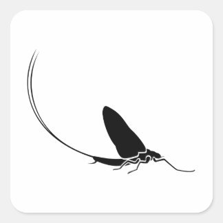 Adesivo Quadrado Mayfly