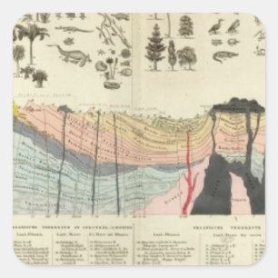 Adesivo Quadrado Média de uma parte da crosta de terra