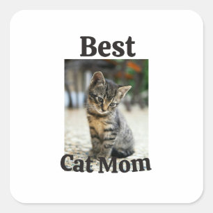 Adesivo Quadrado melhor mamãe gato papai pai mãe animal foto gatinh