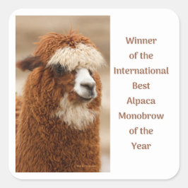 Adesivo Quadrado Melhor Sobrancelha Única de Alpaca