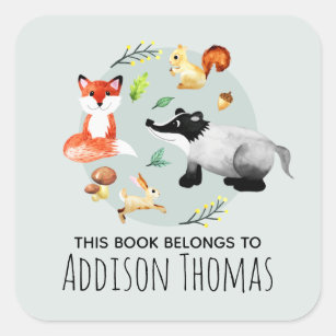 Adesivo Quadrado Meninos Animais Este Livro Pertence A Crianças
