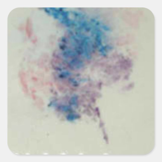 Adesivo Quadrado "Merlot nº 1" (Frente)