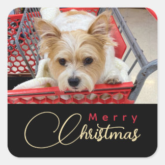 Adesivo Quadrado Merry Christmas Puppy Photo Shopping Cart