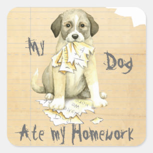 Adesivo Quadrado Meu anatólio comeu meus trabalhos de casa