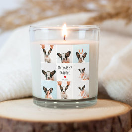 Adesivo Quadrado Meu Cachorro É Meu Namorados | Duas Fotografias De